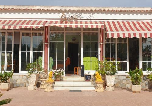 Homes in Elche
