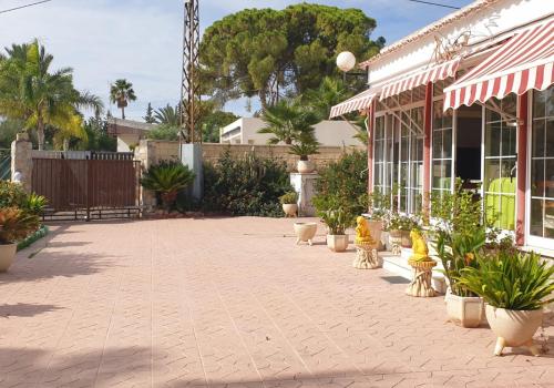 Viviendas de Segunda mano en Elche