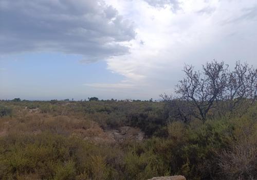 Terrenos en Elche
