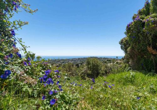 Plots in Moraira