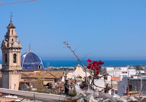 Properties in Oliva