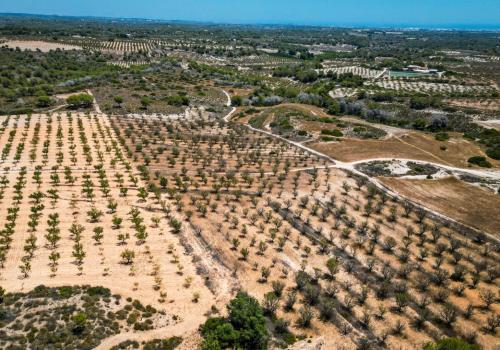 Inmuebles en Murcia