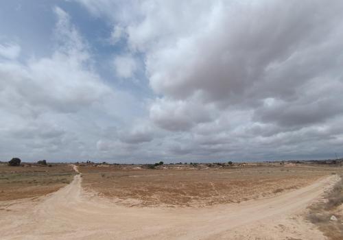 Lands in Murcia