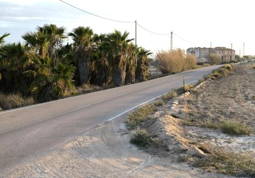 Plots in Elche