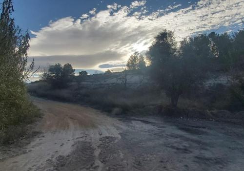 Lands in Monóvar