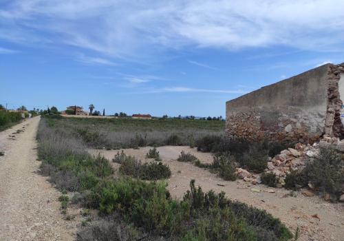 Plots in Crevillent