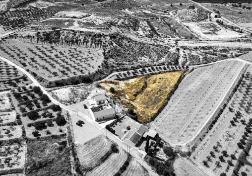 Lands in Murcia