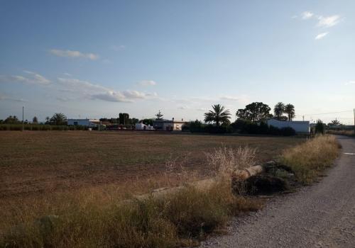 Plots in Elche