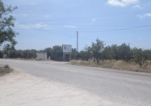 Plots in Elche