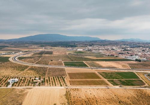 Plots in Pinoso