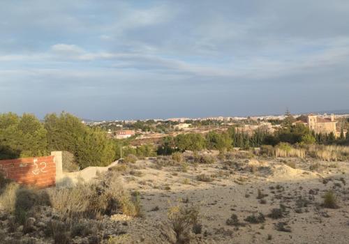 Plots in Elche