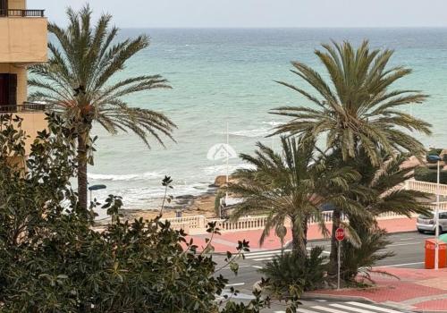 Venta en Torrevieja