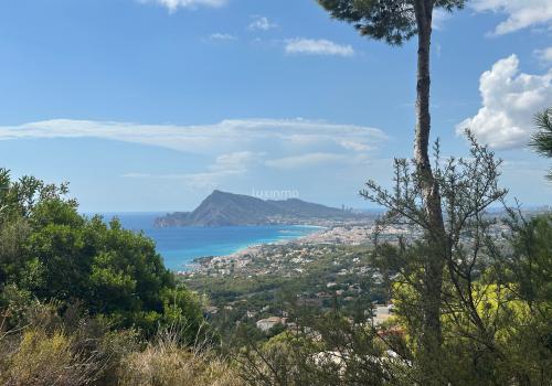 Building Sites in Alicante