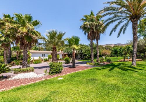 Chalets for Rent in Alicante