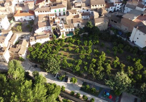 Properties in El Valle