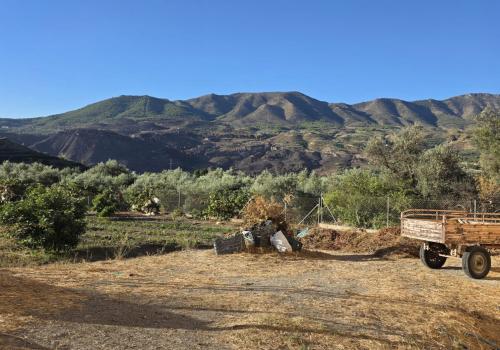 Properties in El Valle