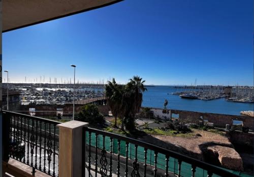 Properties in Torrevieja