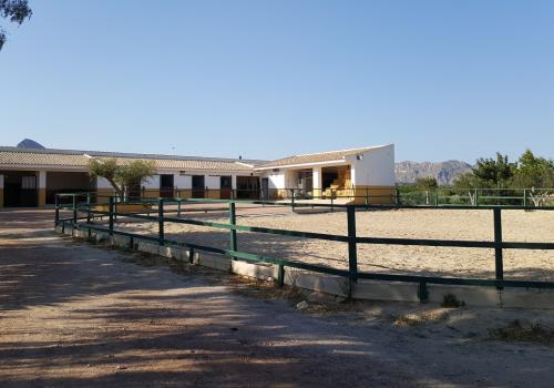 Country Properties in Alicante