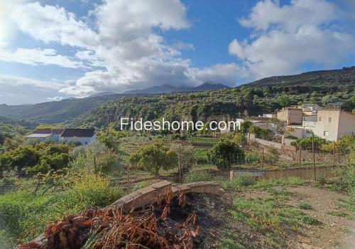 Plots in Albuñuelas