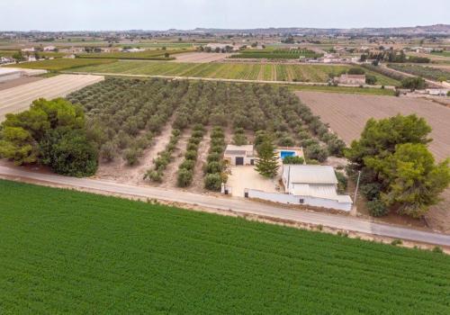 Casas en Alicante