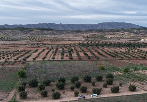 Building Sites in Jumilla