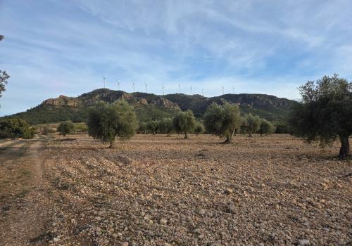 Building Sites in Jumilla