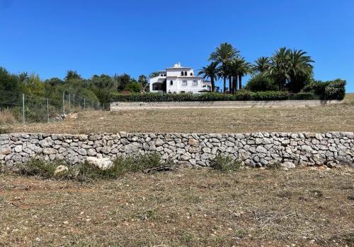 Lands in Alicante