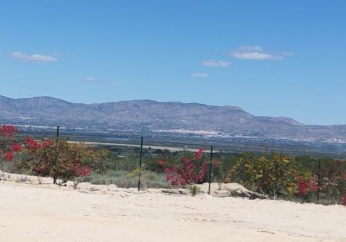 Lands in Alicante