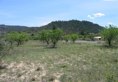 Solares en Murcia