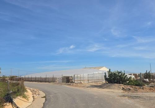 Country Properties in Alicante
