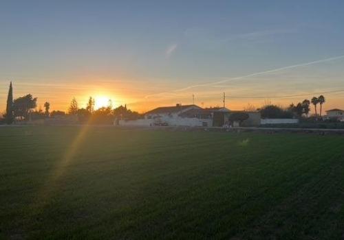Properties in Dolores