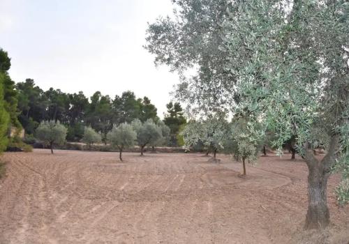 Venta en Valderrobres