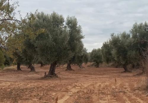 Venta en Teruel