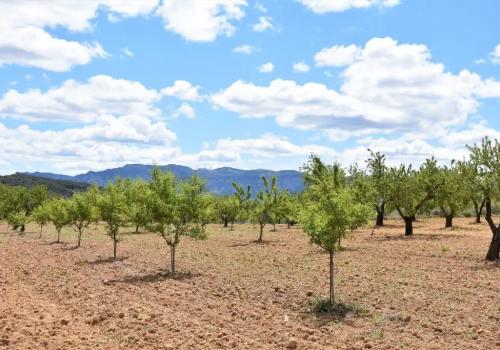 Venta en Teruel