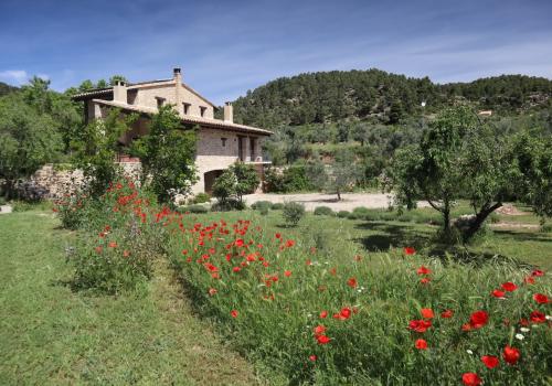 Country Properties in La Fresneda