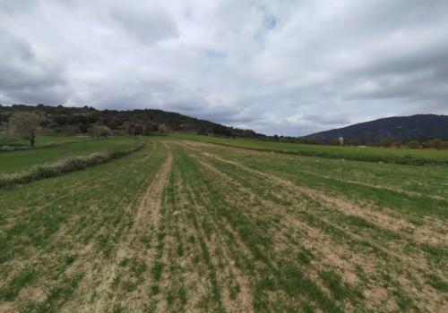 Country property for sale in Peñarroya de Tastavins - 12 INFI 2343