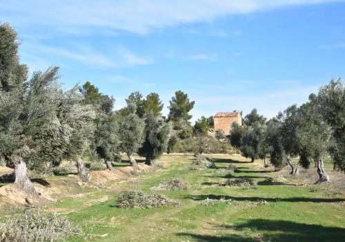 Casas en Teruel