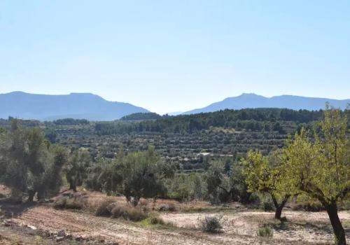 Inmuebles en Valderrobres