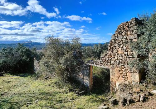 Homes in Horta de Sant Joan
