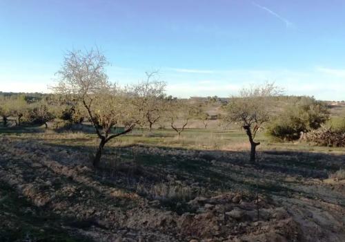 Inmuebles en Valderrobres