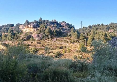Properties in Monroyo