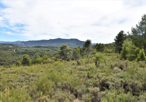 Inmuebles en Valderrobres