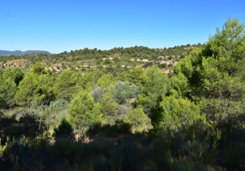 Inmuebles en Valderrobres