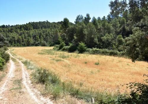 Properties in Valderrobres