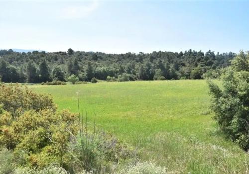 Plots in Teruel