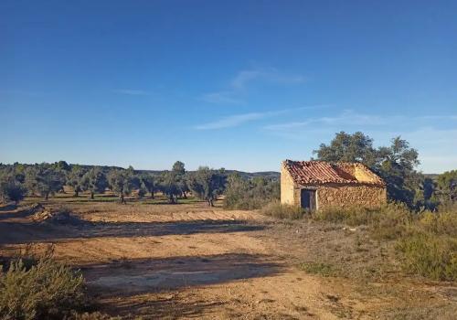 Inmuebles en Calaceite