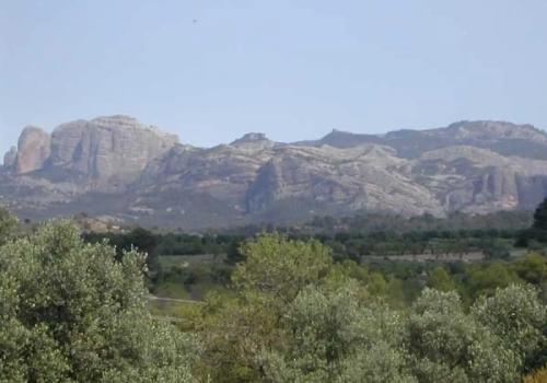 Venta en Cretas