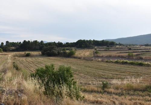 Properties in Fuentespalda