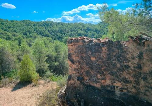 Fincas en Tarragona