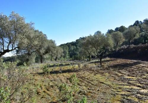 Casa en venta en Arens de Lledó - 4INFI1497 Casa en venta en Arens de Lledó - 4INFI1497